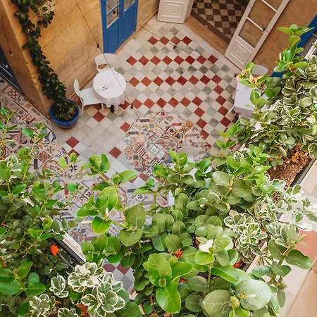 Nocleg ze śniadaniem Blue House 9 & Breakfast 4*
