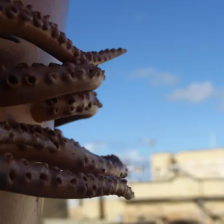 Blue House 9 & Breakfast