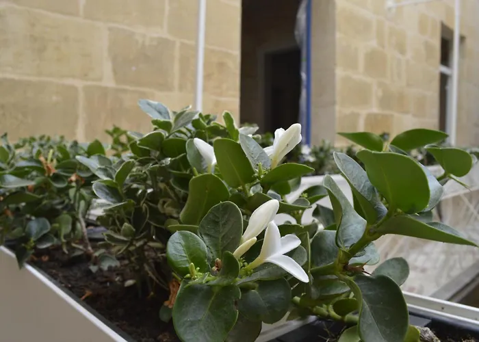 Blue House 9 & Breakfast Vittoriosa