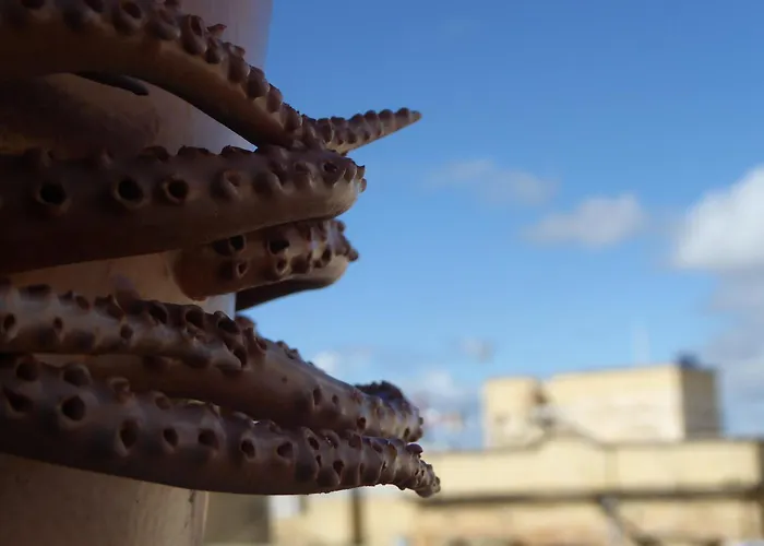 Blue House 9 & Breakfast